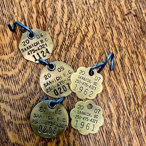 Vintage Brass Dog Tags